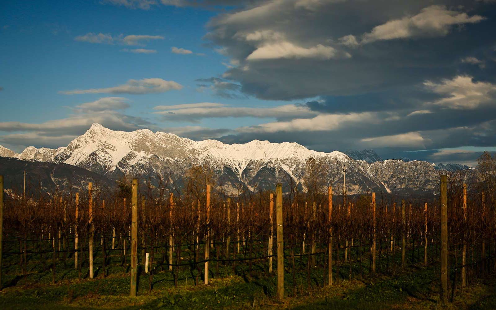 Winery-Mountains