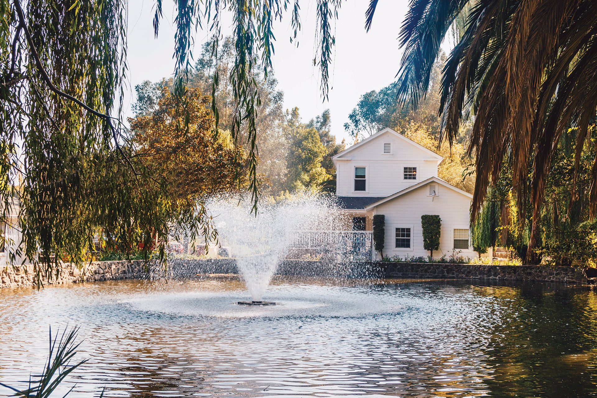 Visit-Cline-Tasting-Room-Pond-rev-1920x1280-3
